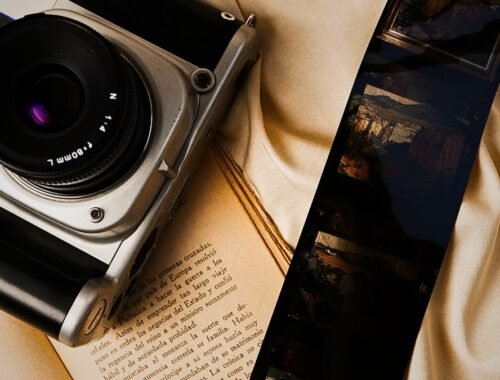 Welcome to Cinematic Insanity: Films That Bent Reality Before Reality Bent Us